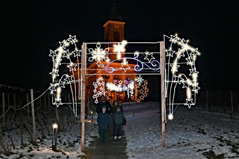 bozicni-koncert-pesmi-in-orgelskih-skladb, kapela