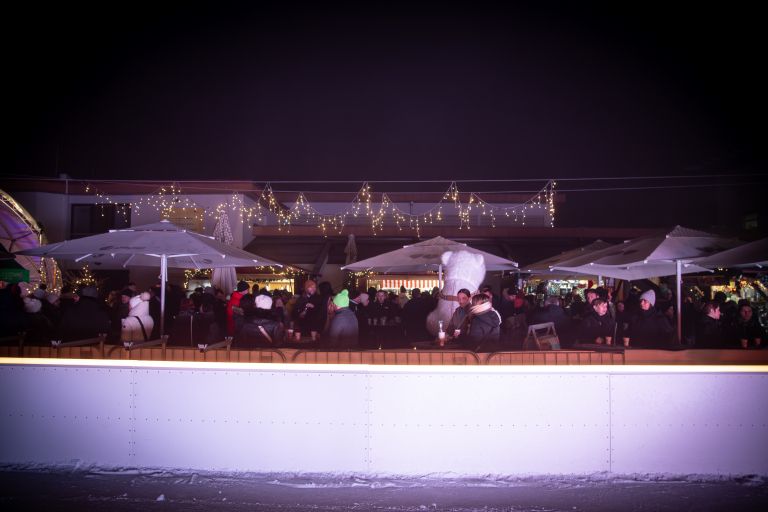 koncert, katarinaziga, drsalisce, katarina-sebok-in-ziga-zeks