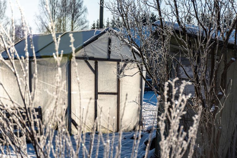 ogrevanje rastlinjaka 1