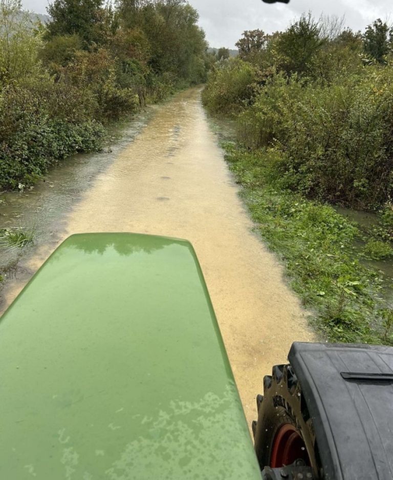 struga-radulje-mlake-drevje-poplave