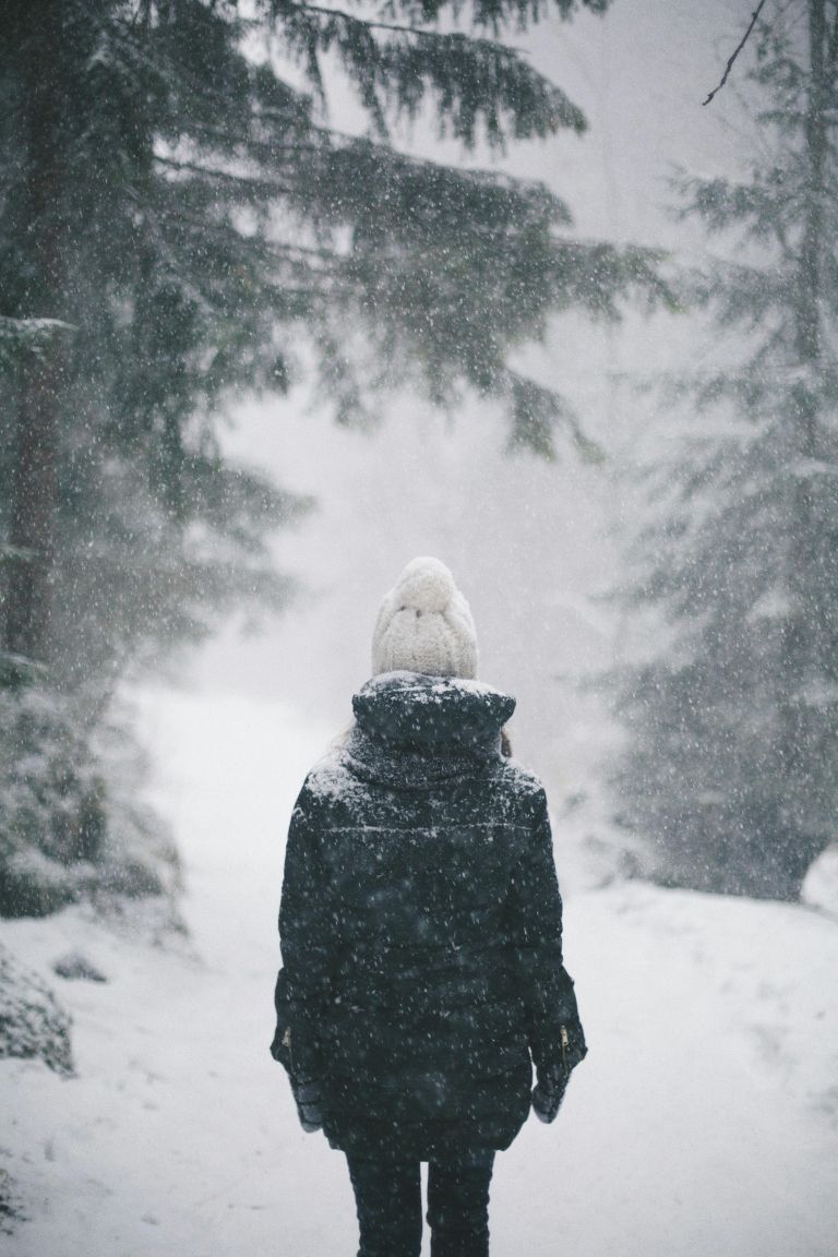 napoved snega čustva 2