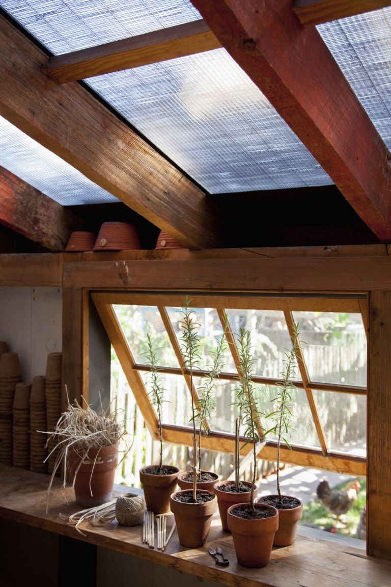 prezimovanje rastlin 2