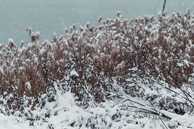 simbolična, sneg, zima, sneženje, kamenšnica, kamešnica, expano, jezero