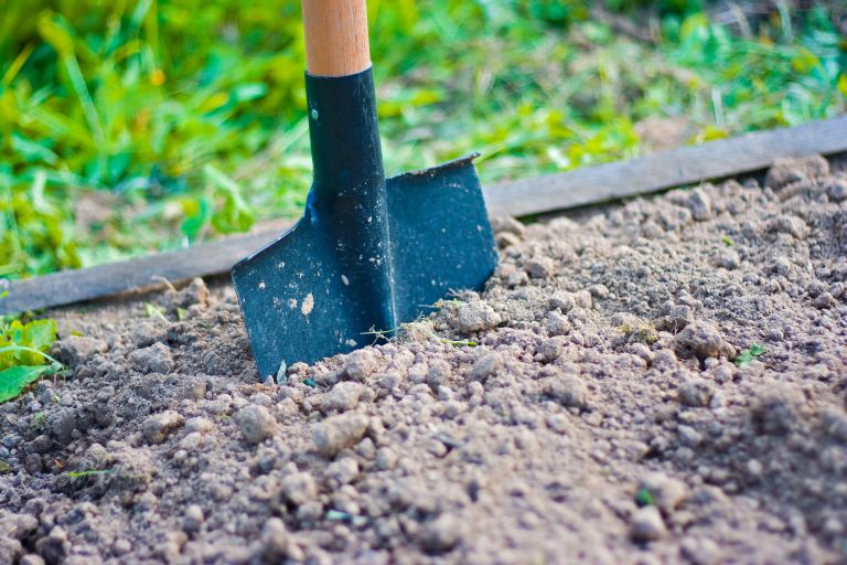 lopata zelenjavni vrt