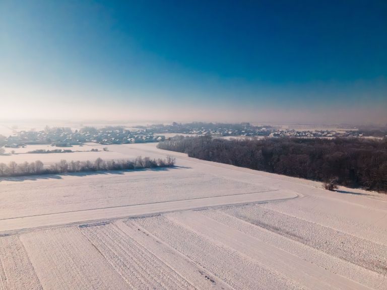 simbolična, zima, sneg, dron, gozd, narava, drevesa
