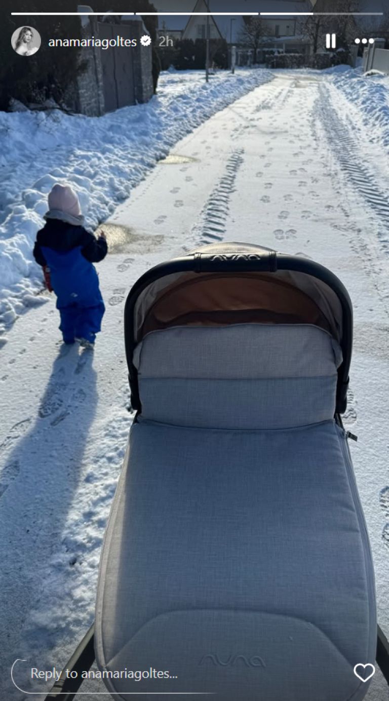 anamaria goltes, zima.png