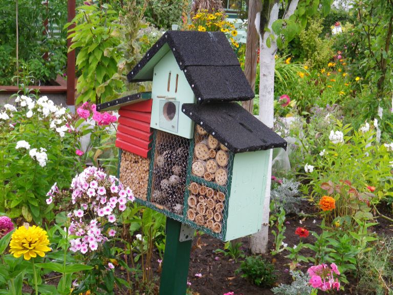 zasaditev trajnic 12