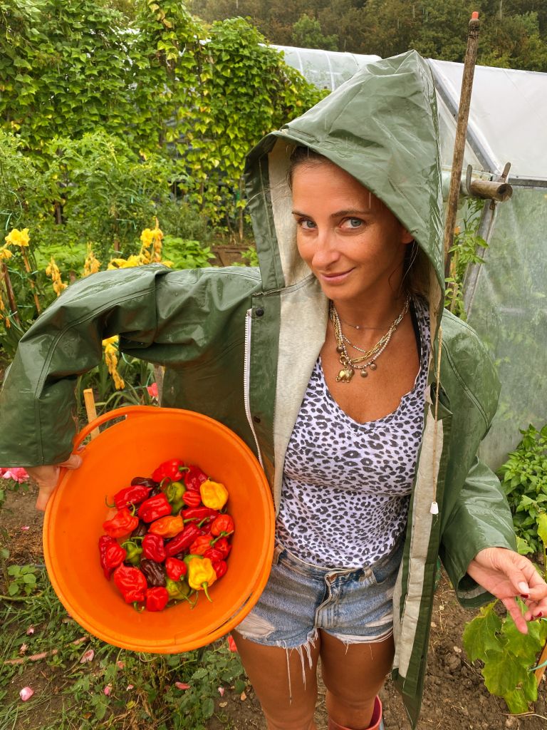 Gordana Grandošek Whiddon