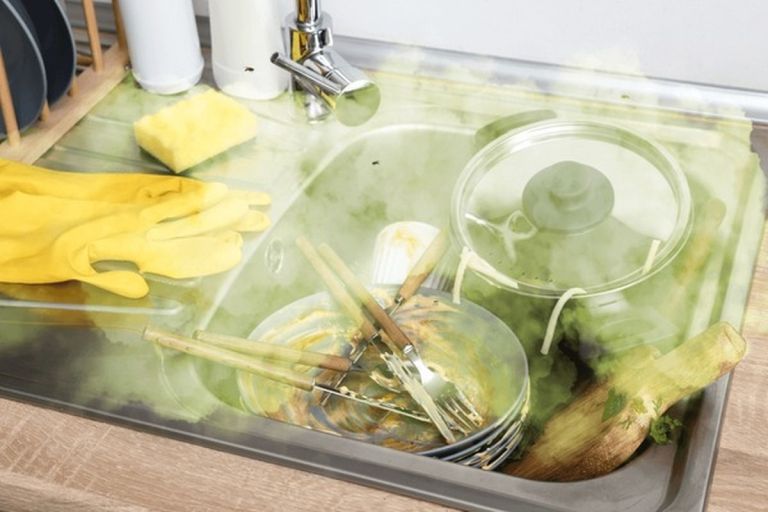 male-komunalne-cistilne-naprave, rjave-alge