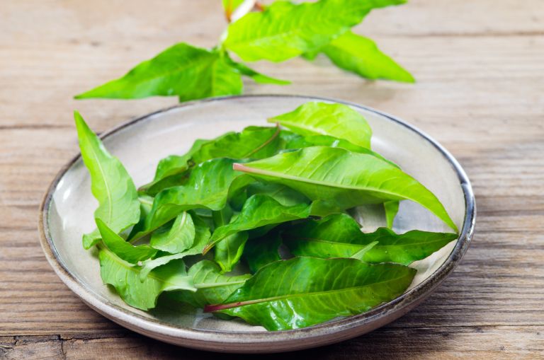 japonski vodni poper