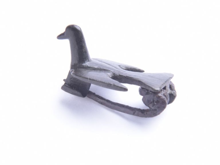 fibula.JPG