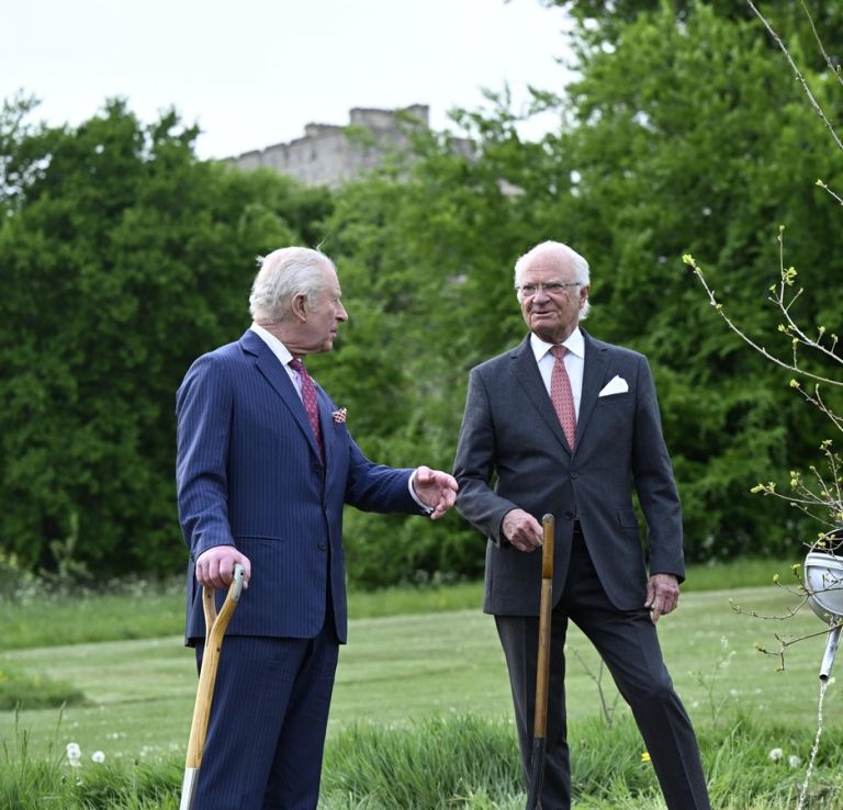 Kralj Karel XVI. Gustav