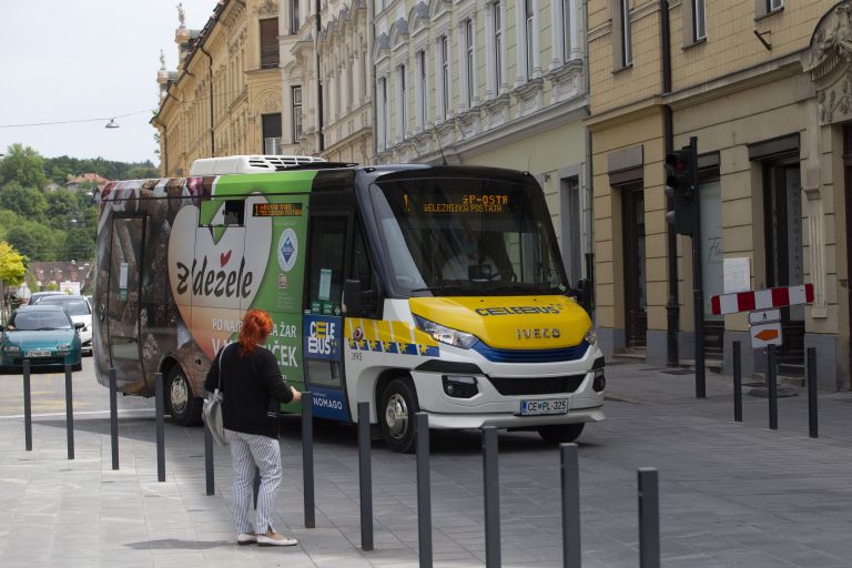 celebus, celje