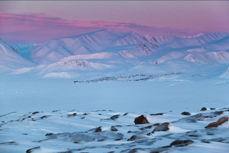 helena-dejak, grenlandija