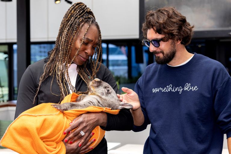 12_venus williams 3.jpg