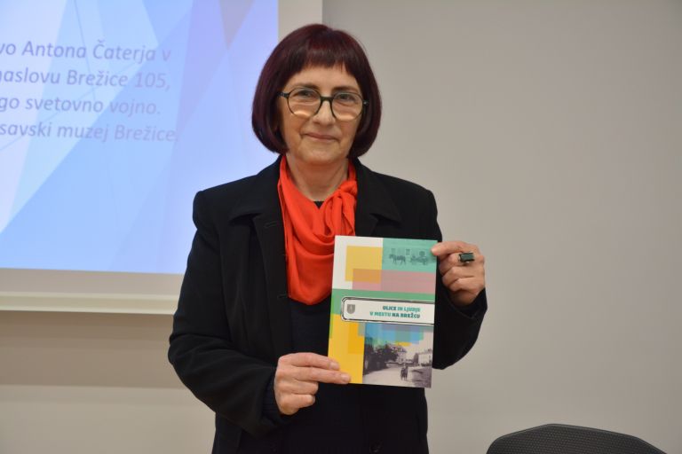 ivanka-pockar, ulice-in-ljudje-v-mestu-na-brezcu, drustvo-za-ozivitev-mesta-brezice