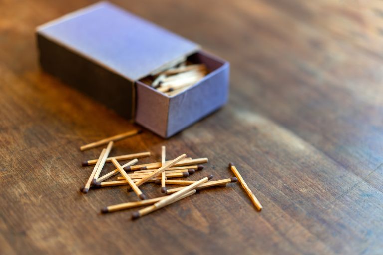 sobne-rastline-skodljivci