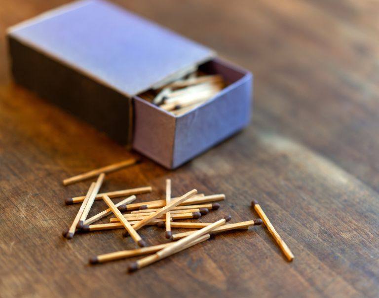 sobne-rastline-skodljivci