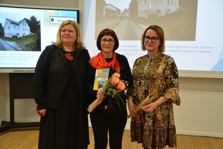 ivanka-pockar, ulice-in-ljudje-v-mestu-na-brezcu, drustvo-za-ozivitev-mesta-brezice