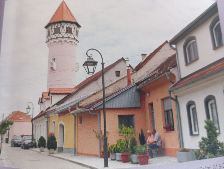 ivanka-pockar, ulice-in-ljudje-v-mestu-na-brezcu, drustvo-za-ozivitev-mesta-brezice