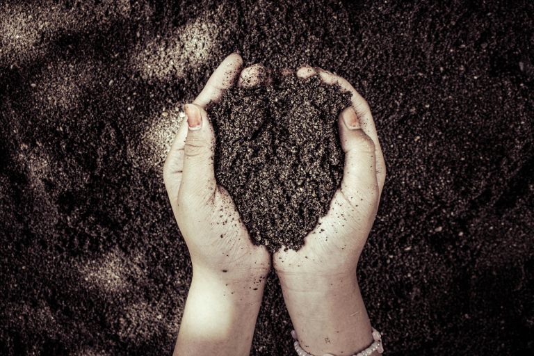 Dotik zemlje z golimi rokami