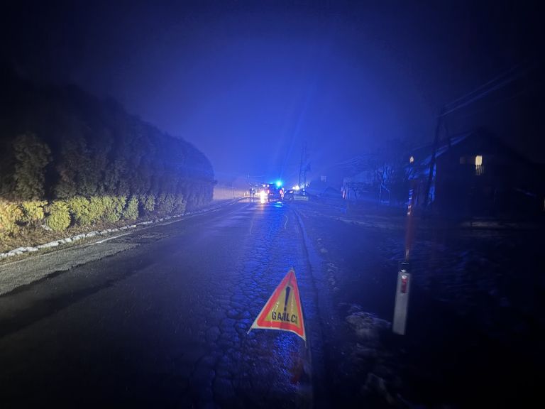 logarovci, pozar, oviran-promet, gasilci