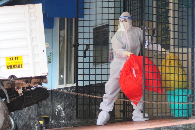 virus nipah2.jpg