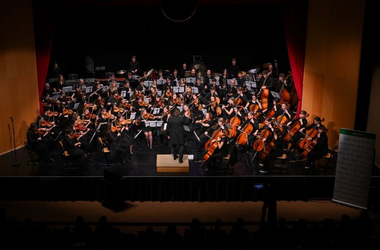 novomeski-simfonicni-orkester