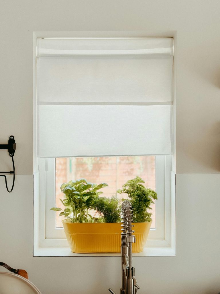 zelišča na okenski polici