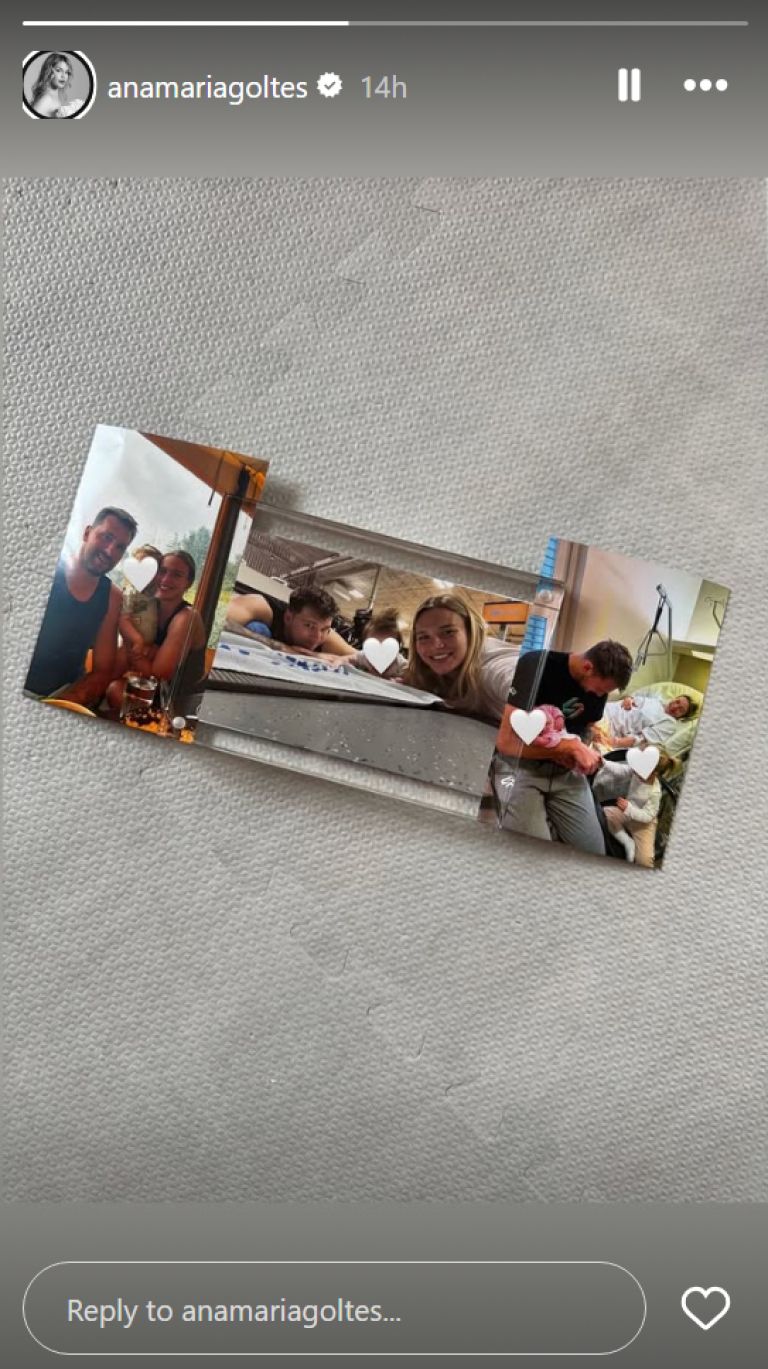 Anamaria Goltes, govorice.png