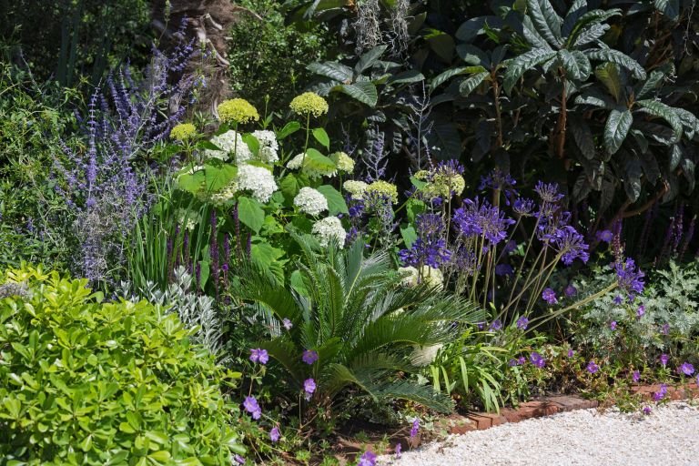 Plastovita zasaditev