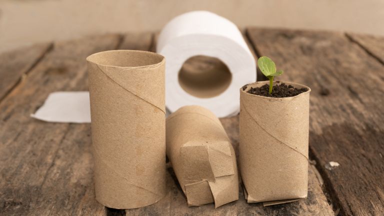 wc-papir, vrtnarjenje