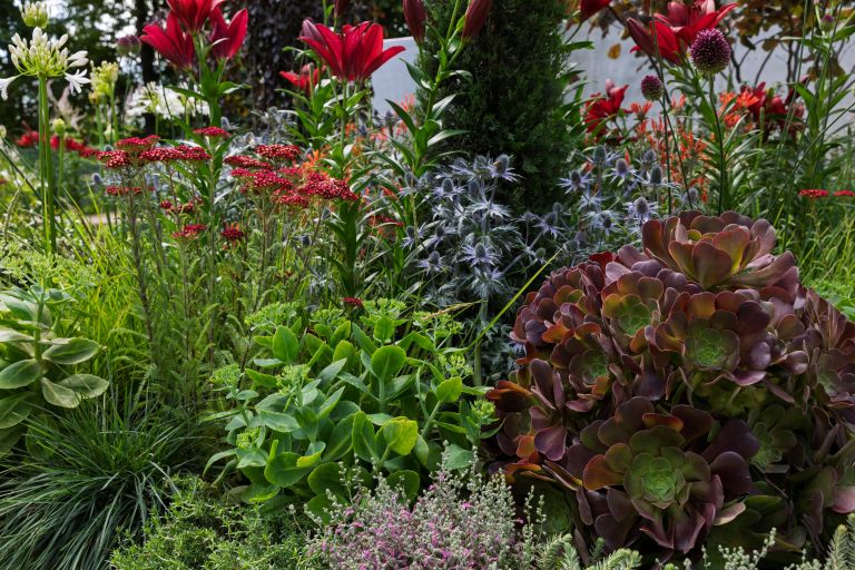 Trendovske barve vrtov