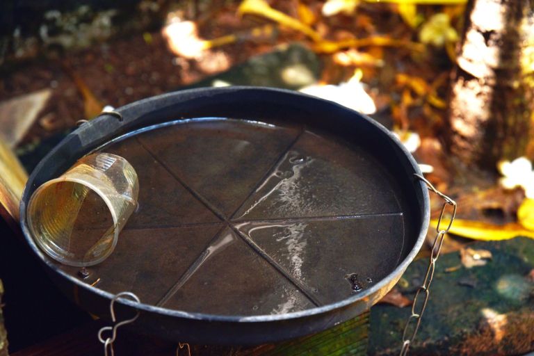 podstavek, voda, tigrasti-komarji