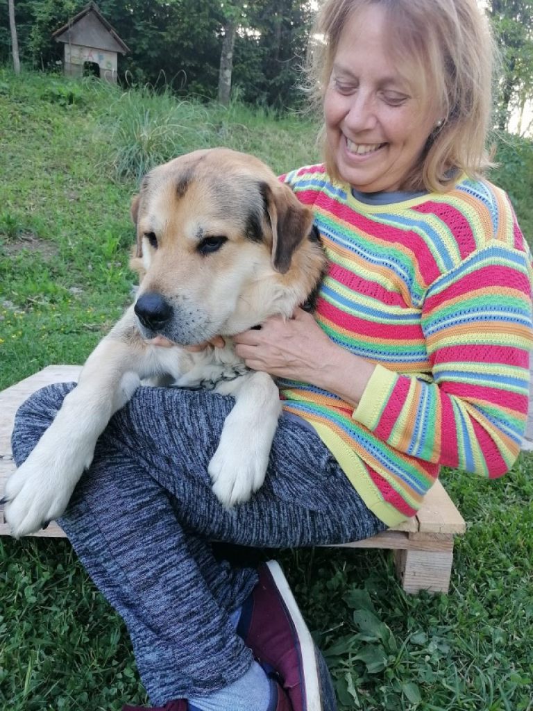 irena-francisca-iglic