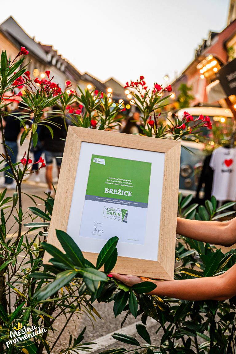 Mestna promenada_Slovenia Green Platinum.jpg