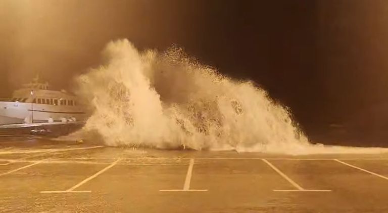 neurje dalmacija.jpg