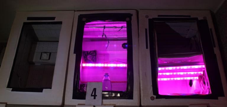 prepovedana-droga, hisne-preiskave, policija