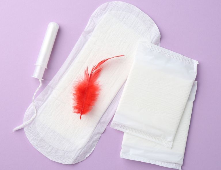 menstruacija, vložki