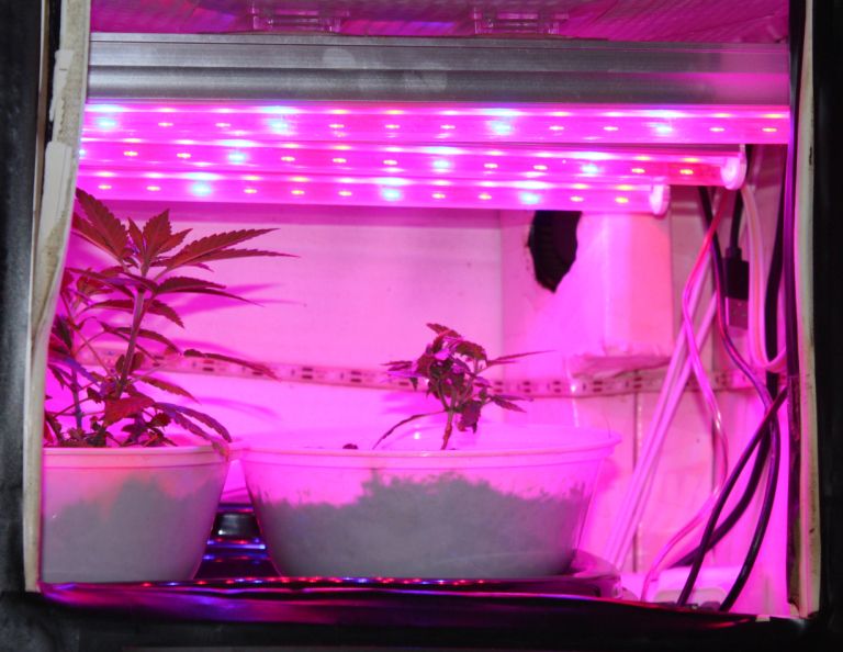 prepovedana-droga, hisne-preiskave, policija