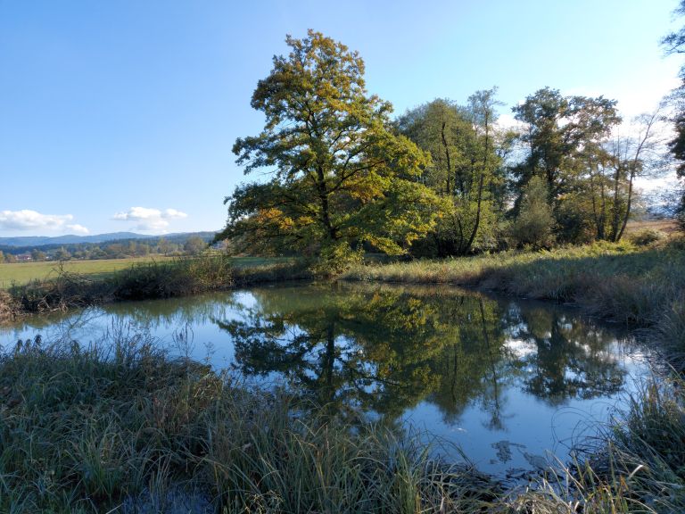 svetovni-dan-mokrisc