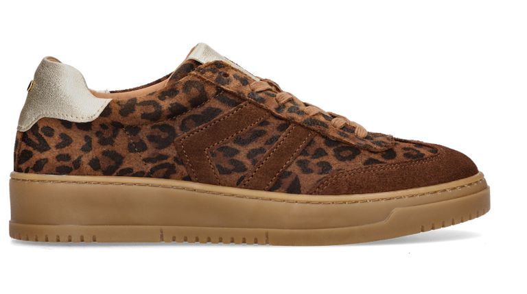 superge CREATOR, MASS, ALEJA