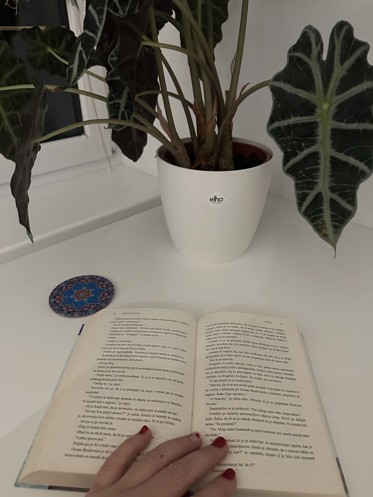 branje, knjiga, ženske, vietnam, kristin-hannah, zgodovinski-roman