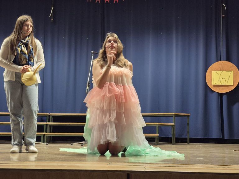 osnovna-sola-vavta-vas, mali-princ