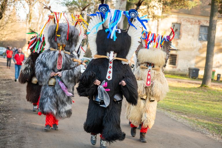 beltinci, miklavski-koranti, obisk