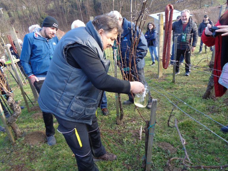 drustvo-vinogradnikov-centiba, pohod, blazeva-rez