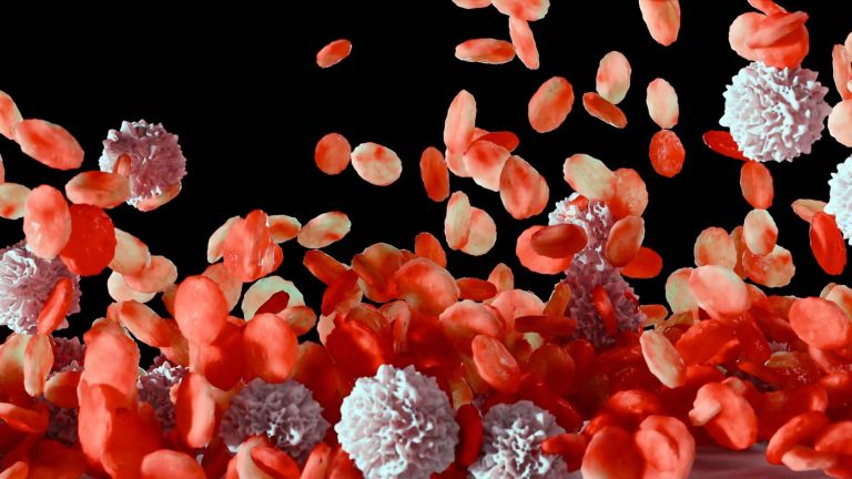 kri pod mikroskopom.jpg