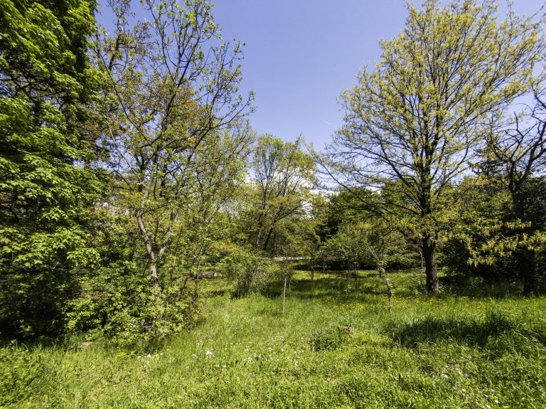 gozdni-vrt, pomurje, gozd