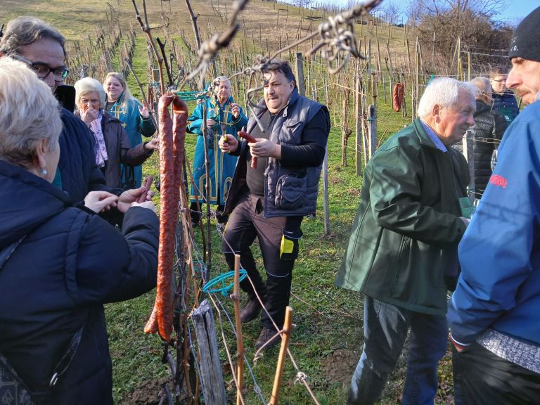 drustvo-vinogradnikov-centiba, pohod, blazeva-rez