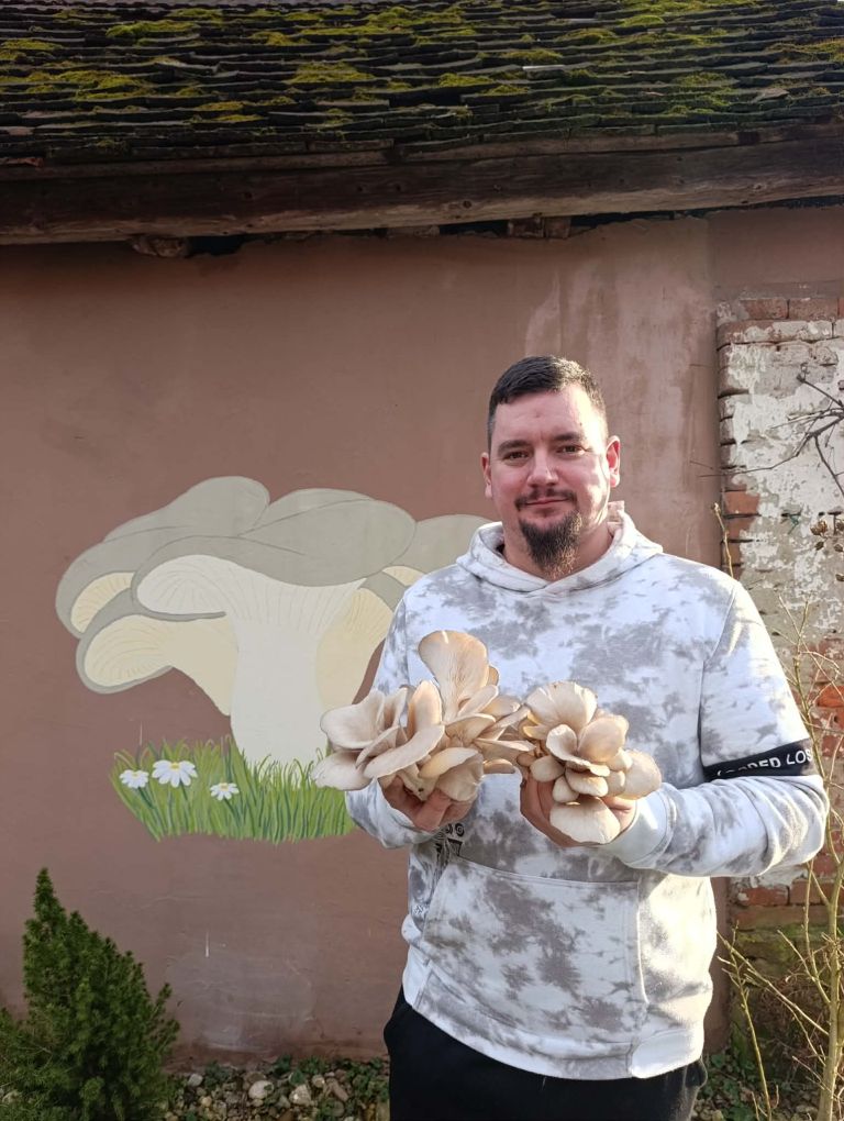 vgrow-mushroom, bukov-ostrigar, ratko-mirković